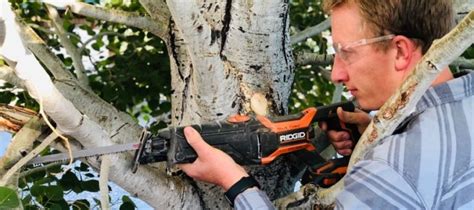 Best Reciprocating Saw For Trees Backyardables