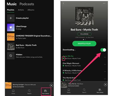 How To Listen To Spotify Offline Without Premium On Phone Pc