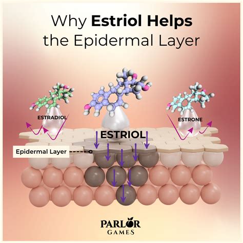 How Estriol Works Better Than Estradiol Or Estrone For Vaginal Atrophy