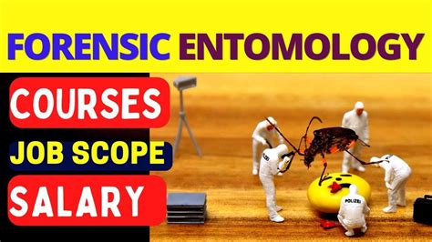 Forensic Entomology I Forensic Entomology Courses And Jobs Career Youtube