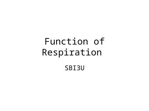 Ppt Function Of Respiration Sbi U Respiratory System Primary