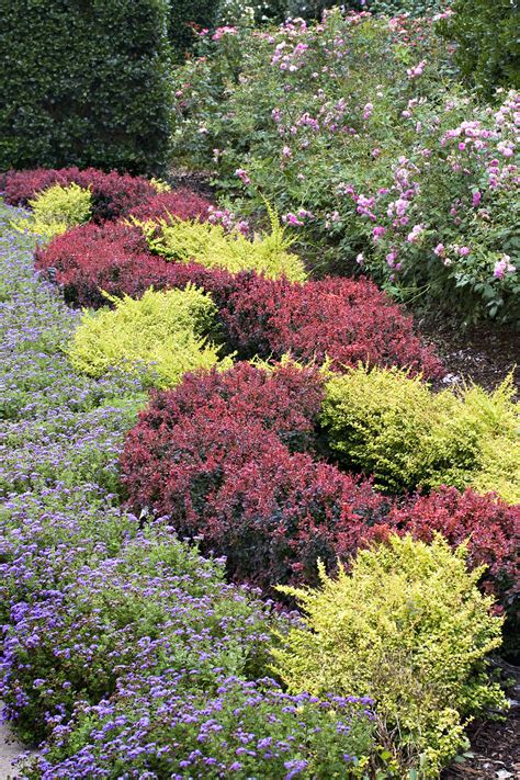 R Aliser Un Massif Avec Des Couvre Sol D Tente Jardin