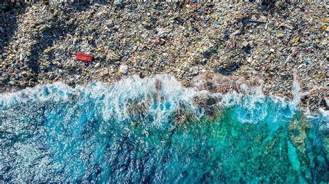 Mikroorganismen Können winzige Lebewesen aus der Natur unser Plastik