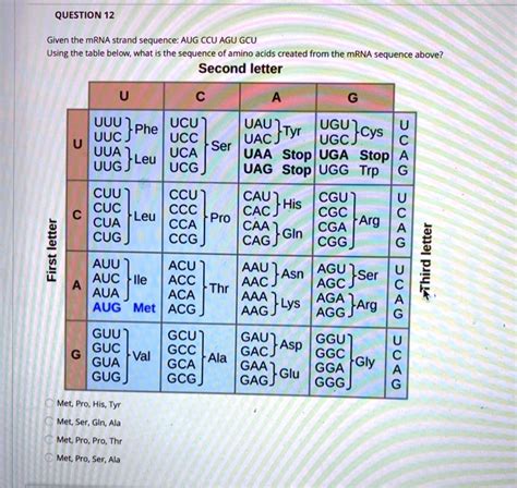 Solved Genetic Code Table Second Letter UUU Phe UCU UCC 45 OFF