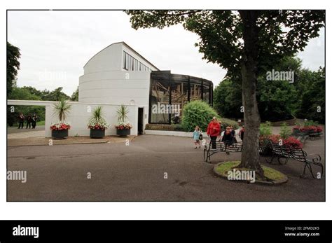 London zoo regents park london Cut Out Stock Images & Pictures - Alamy