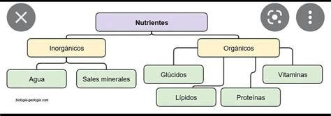 Elabora Una Tabla Con Nutrientes Organicos E Inorganicos En La Que