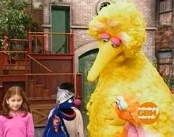 Episode 4037 | Muppet Wiki | Fandom