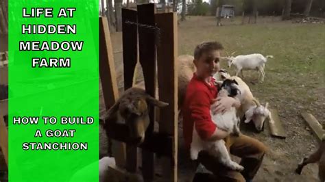 How To Build A Goat Stanchion Diy Headgate For Small Livestock Youtube