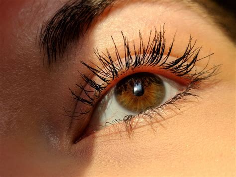 Everything You Need To Know About Eyelash Tinting The Aedition