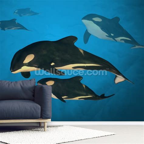 Orca Family Wallpaper | Wallsauce UK