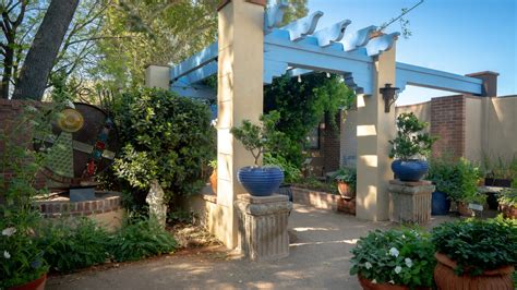 Visit - Tucson Botanical Gardens