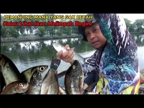 BUSET Pemancing Manapun Pasti Kecanduan Kalau Spot Ikan Melimpah