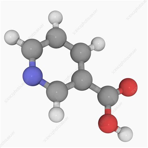 Vitamin B3 Nicotinic Acid Molecule Stock Image F004 6729 Science