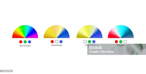 Color Blindness Poster Stock Illustration - Download Image Now - Artist ...