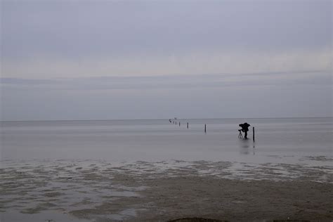 Wadden Sea North Coast Free Photo On Pixabay Pixabay