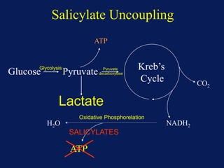 Salicylate poisoning | PPT