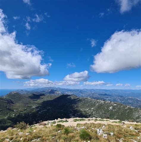 Monteglobus