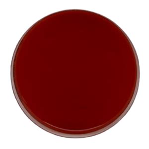 5 Sheep Blood Mueller Hinton Agar SBMHA Standard Media