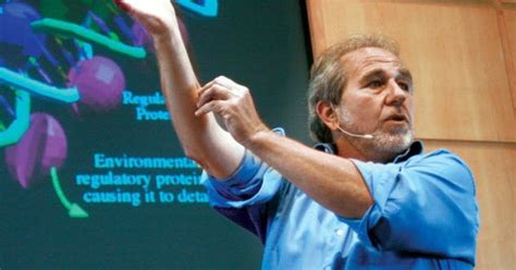 Dr Bruce Lipton The Biology Of Belief Where Mind And Matter Meet