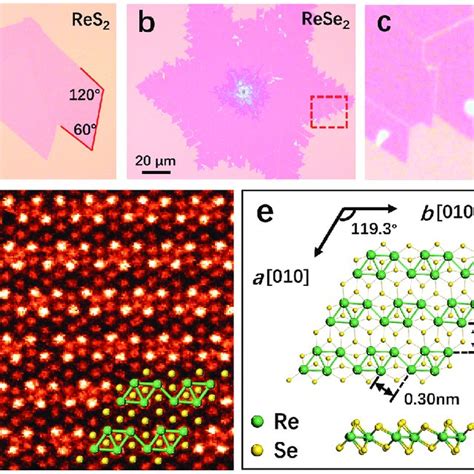 Pdf Pristine Edge Structures Of T Phase Transition Metal