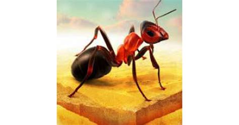 Ant Colony - Play Ant Colony Online at TopGames.Com