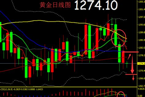 分析师金晓峰：124黄金操作建议，空头大军压境