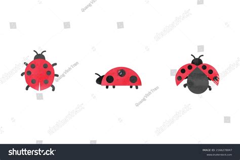 Simple Ladybug Watercolor Drawing Ladybugs Set Stock Vector Royalty Free 2166278847 Shutterstock