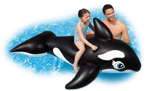 Buy Whale Ride On At Mighty Ape Nz