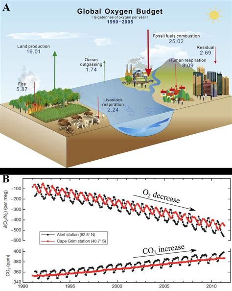 Overview Of The Global Oxygen Cycle With Major Sources And Sinks