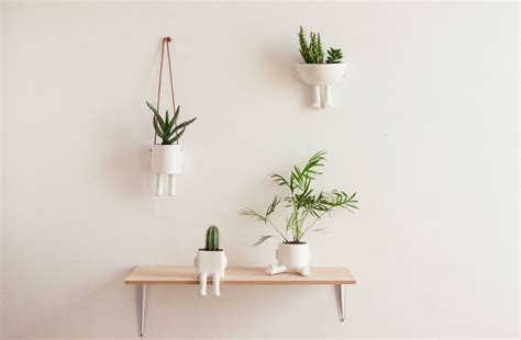 hanging planters indoor inspiration | Interior Design Ideas