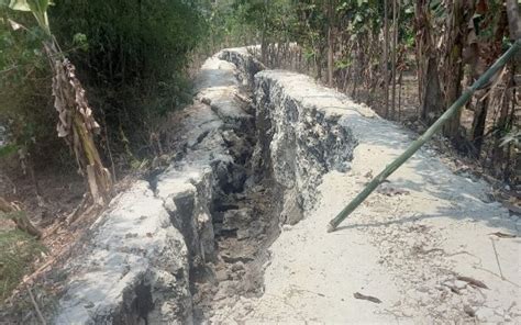 Tanggul Bengawan Solo Di Kanor Bojonegoro Ambles Kabar Pasti