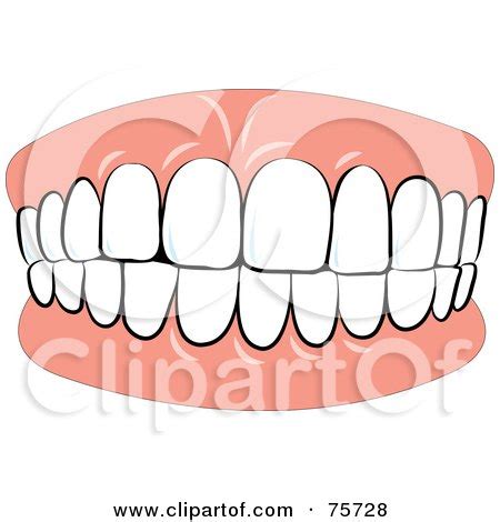 Royalty-Free (RF) Clipart Illustration of Denture Teeth Biting Down by ...