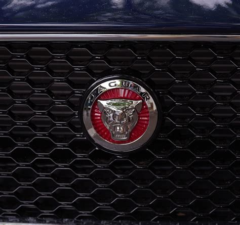 Jaguar Automobil Emblem - Kostenloses Foto auf Pixabay - Pixabay