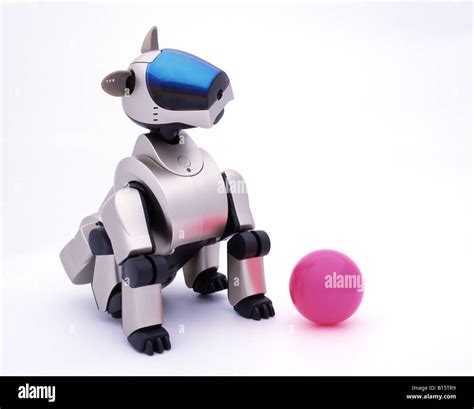 Inteligencia Artificial Robot Aibo Ers Fotograf A De Stock Alamy