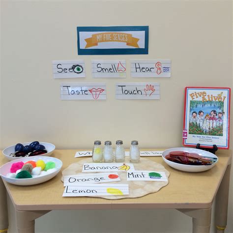 5 senses science center! | Preschool circle time activities, Preschool ...