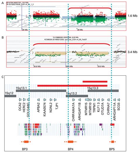 Array Comparative Genomic Hybridisation Acgh Analysis Of 15q13