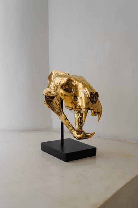 High quality, bronze-cast Sumatran Tiger skull - Panthera tigris ...