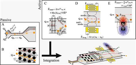 Passive Active And Integrated Microfluidic Strategies For Cell