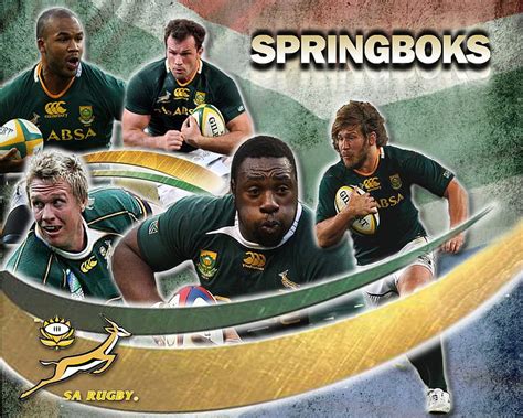 Springboks Wallpaper