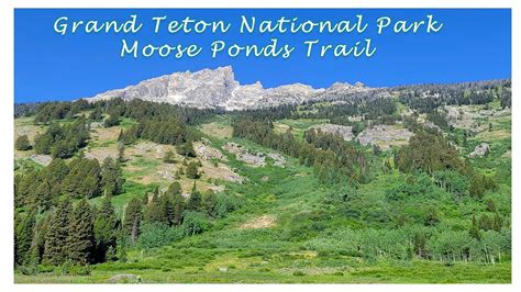 Grand Teton National Park Moose Ponds Trail YouTube