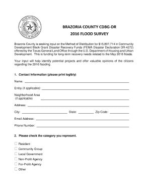 Fillable Online Affidavit Of Surety To Surrender Brazoria County Fax