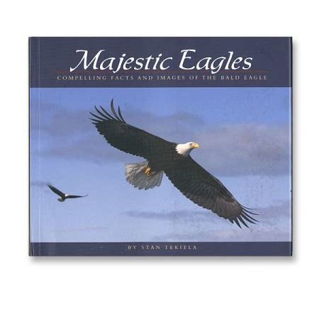 Majestic Eagles | American Eagle Foundation
