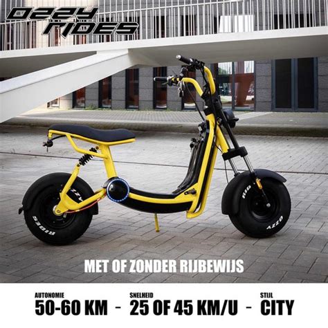 Beste Elektrische Scooter Top 10 Elektrische Scooters 2025