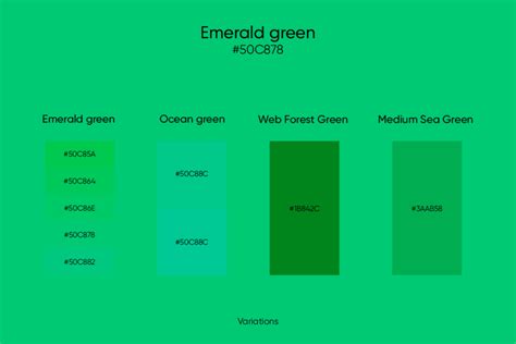 Emerald Green: Its Codes and Best Color Combinations - Picsart Blog