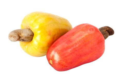 Brazilian Caju Cashew Fruit Yellow Ripe Farm America PNG Transparent