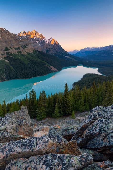 Peyto Lake in Banff National Park, Alberta at Sunrise Stock Photo ...