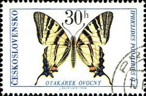 Stamp Scarce Swallowtail Iphiclides Podalirius Czechoslovakia