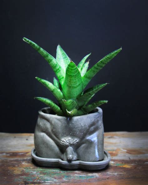 David Concrete Male Body Planter Pot Naked Body Bud Vase Etsy