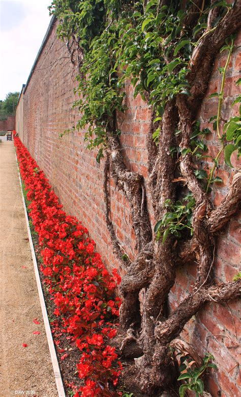 Glasgow Parks The Walled Garden Rouken Glen Park Glasgow The