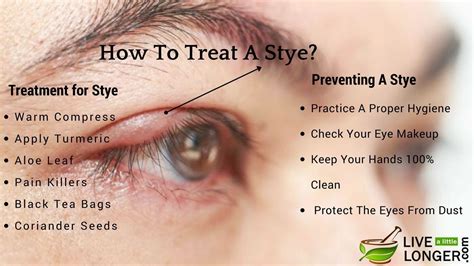 Anatomy Of A Stye Anatomy